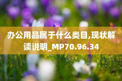 办公用品属于什么类目,现状解读说明_MP70.96.34