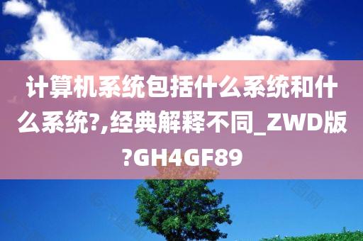 计算机系统包括什么系统和什么系统?,经典解释不同_ZWD版?GH4GF89