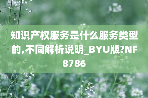 知识产权服务是什么服务类型的,不同解析说明_BYU版?NF8786