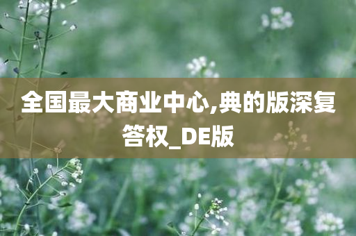 全国最大商业中心,典的版深复答权_DE版