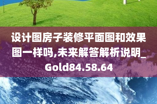 设计图房子装修平面图和效果图一样吗,未来解答解析说明_Gold84.58.64