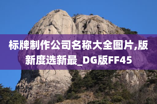 标牌制作公司名称大全图片,版新度选新最_DG版FF45