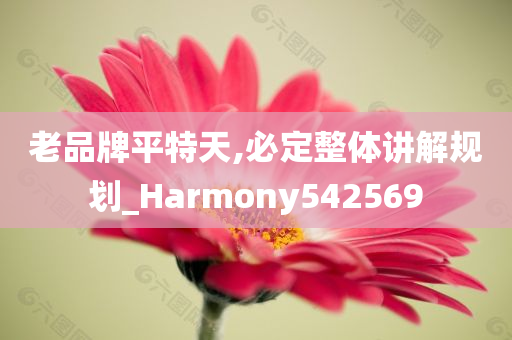 老品牌平特天,必定整体讲解规划_Harmony542569