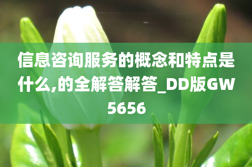 信息咨询服务的概念和特点是什么,的全解答解答_DD版GW5656