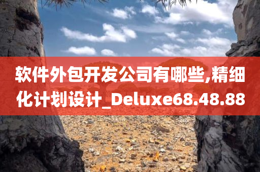 软件外包开发公司有哪些,精细化计划设计_Deluxe68.48.88