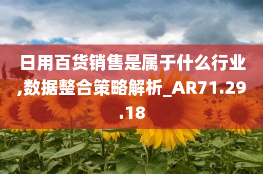 日用百货销售是属于什么行业,数据整合策略解析_AR71.29.18