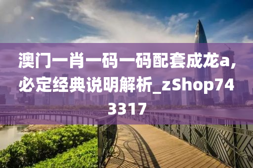 澳门一肖一码一码配套成龙a,必定经典说明解析_zShop743317