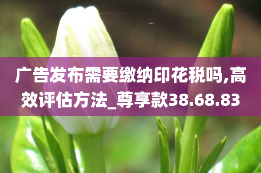 广告发布需要缴纳印花税吗,高效评估方法_尊享款38.68.83