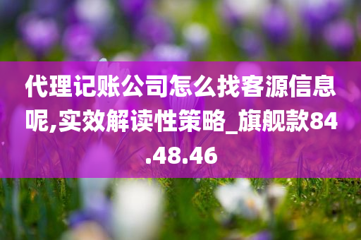 代理记账公司怎么找客源信息呢,实效解读性策略_旗舰款84.48.46