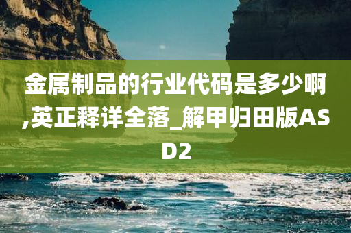 金属制品的行业代码是多少啊,英正释详全落_解甲归田版ASD2