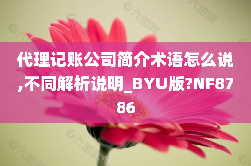 代理记账公司简介术语怎么说,不同解析说明_BYU版?NF8786