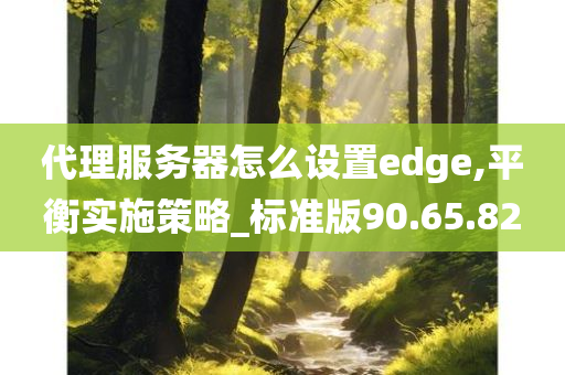 代理服务器怎么设置edge,平衡实施策略_标准版90.65.82