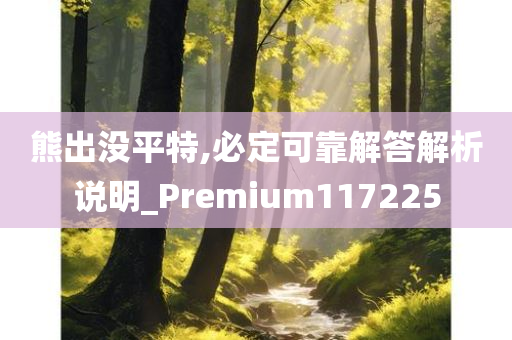 熊出没平特,必定可靠解答解析说明_Premium117225