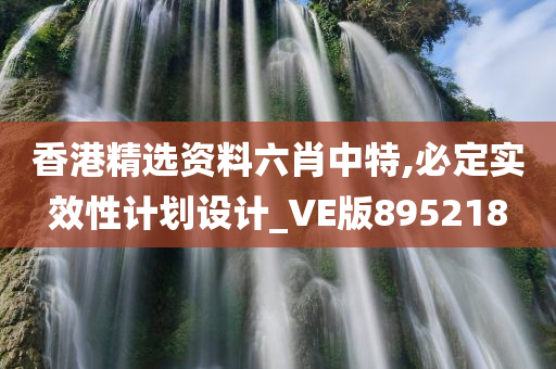 香港精选资料六肖中特,必定实效性计划设计_VE版895218