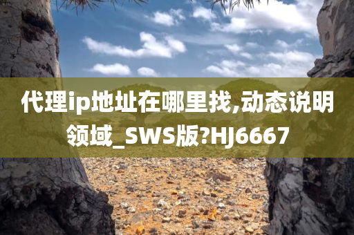 代理ip地址在哪里找,动态说明领域_SWS版?HJ6667