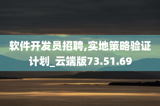 软件开发员招聘,实地策略验证计划_云端版73.51.69