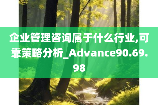 企业管理咨询属于什么行业,可靠策略分析_Advance90.69.98