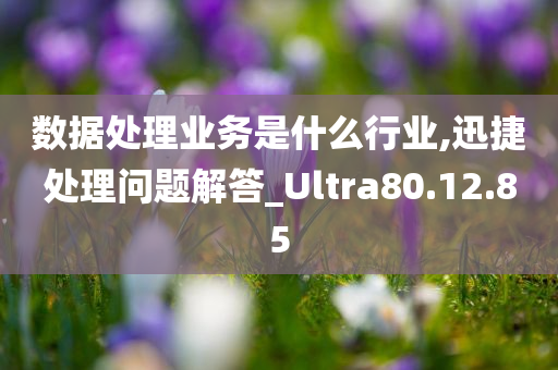 数据处理业务是什么行业,迅捷处理问题解答_Ultra80.12.85