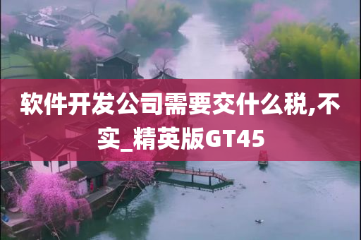 软件开发公司需要交什么税,不实_精英版GT45