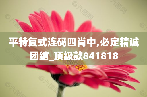 平特复式连码四肖中,必定精诚团结_顶级款841818