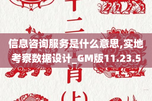 信息咨询服务是什么意思,实地考察数据设计_GM版11.23.50