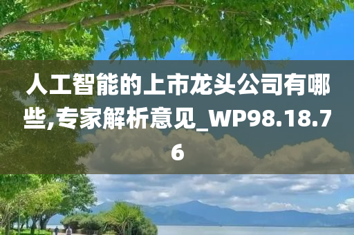 人工智能的上市龙头公司有哪些,专家解析意见_WP98.18.76