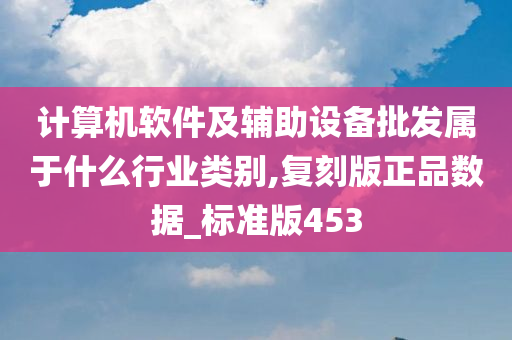 计算机软件及辅助设备批发属于什么行业类别,复刻版正品数据_标准版453