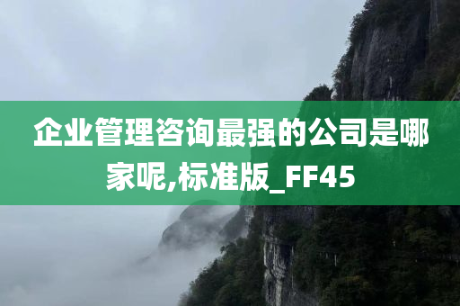 企业管理咨询最强的公司是哪家呢,标准版_FF45