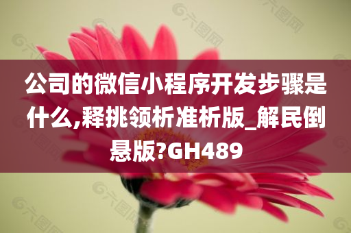 公司的微信小程序开发步骤是什么,释挑领析准析版_解民倒悬版?GH489