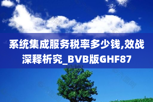 系统集成服务税率多少钱,效战深释析究_BVB版GHF87