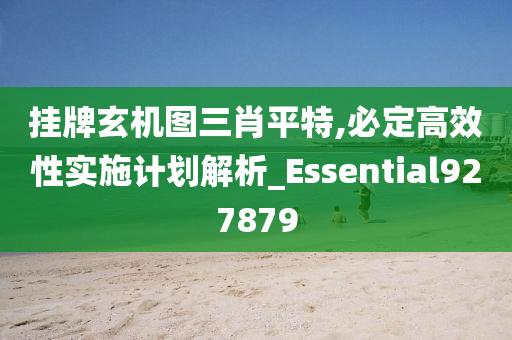 挂牌玄机图三肖平特,必定高效性实施计划解析_Essential927879