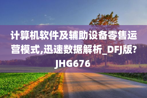 计算机软件及辅助设备零售运营模式,迅速数据解析_DFJ版?JHG676