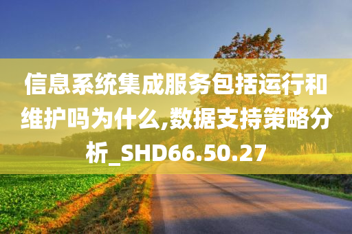 信息系统集成服务包括运行和维护吗为什么,数据支持策略分析_SHD66.50.27