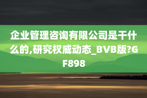 企业管理咨询有限公司是干什么的,研究权威动态_BVB版?GF898