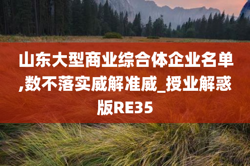 山东大型商业综合体企业名单,数不落实威解准威_授业解惑版RE35