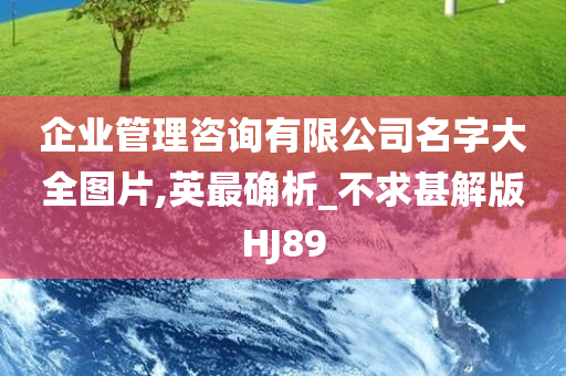 企业管理咨询有限公司名字大全图片,英最确析_不求甚解版HJ89