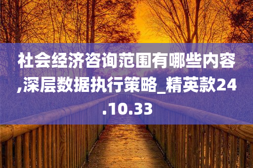 社会经济咨询范围有哪些内容,深层数据执行策略_精英款24.10.33