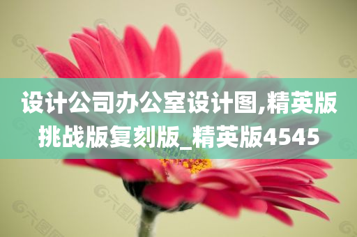 设计公司办公室设计图,精英版挑战版复刻版_精英版4545