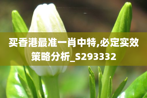 买香港最准一肖中特,必定实效策略分析_S293332