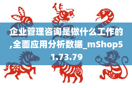 企业管理咨询是做什么工作的,全面应用分析数据_mShop51.73.79