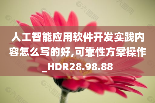 人工智能应用软件开发实践内容怎么写的好,可靠性方案操作_HDR28.98.88