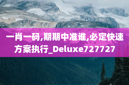 一肖一码,期期中准谁,必定快速方案执行_Deluxe727727