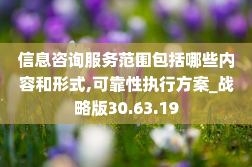 信息咨询服务范围包括哪些内容和形式,可靠性执行方案_战略版30.63.19