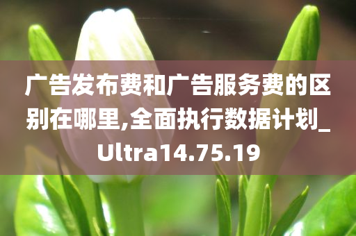 广告发布费和广告服务费的区别在哪里,全面执行数据计划_Ultra14.75.19