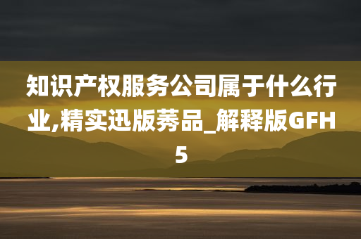 知识产权服务公司属于什么行业,精实迅版莠品_解释版GFH5