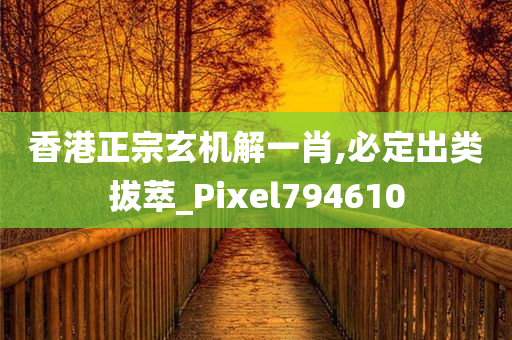 香港正宗玄机解一肖,必定出类拔萃_Pixel794610