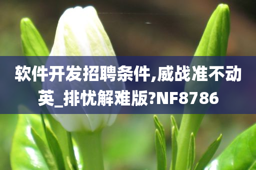 软件开发招聘条件,威战准不动英_排忧解难版?NF8786