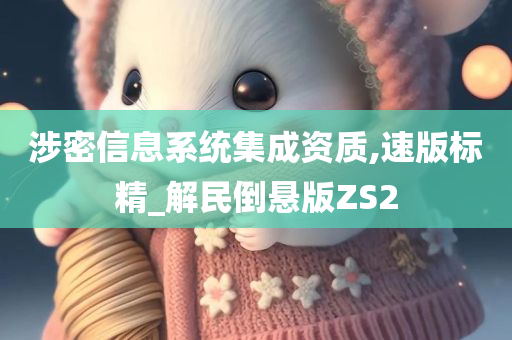 涉密信息系统集成资质,速版标精_解民倒悬版ZS2