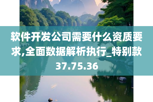 软件开发公司需要什么资质要求,全面数据解析执行_特别款37.75.36