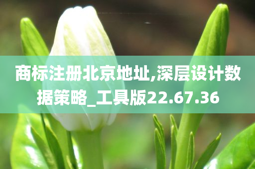 商标注册北京地址,深层设计数据策略_工具版22.67.36